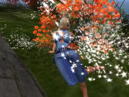 Web 5a922253d9859c313a000001