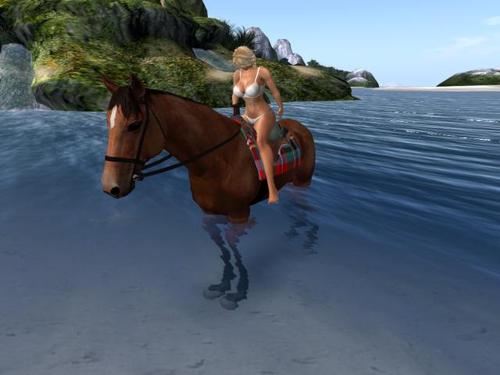 Web 5b36e130d774f81a34000001