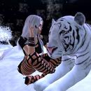 Thumb 5a1892f273ed175546000001