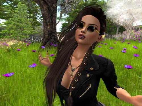 Web 59036477d9859c4cdc000001