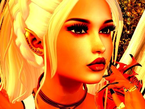 Web 594d4e3ad774f82b2c000001