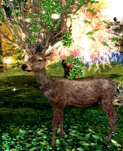 Web 5a567471289dd21aa9000001