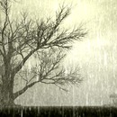 Thumb 583f2360b015400576000001