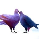 Thumb 5b4a47ea289dd26316000001