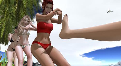 Web 59988f12d9859c28c8000001