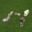 Thumb 6774670ecada5c3926bba7e1