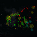 Thumb 67748eb61b25f04736d0c0a5