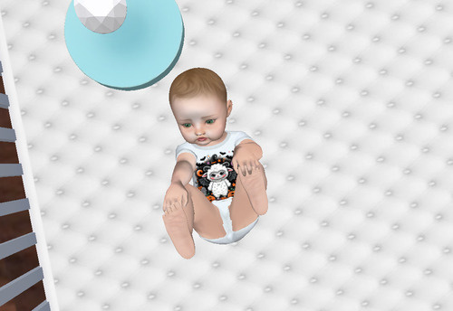 Web 6727152341a8f3559661888a