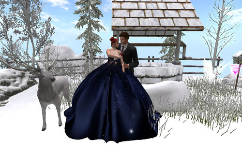 Web 676b8c8da766704612335500