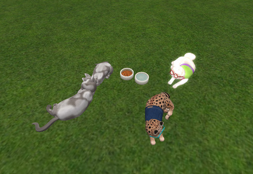 Web 6774670ecada5c3926bba7e1