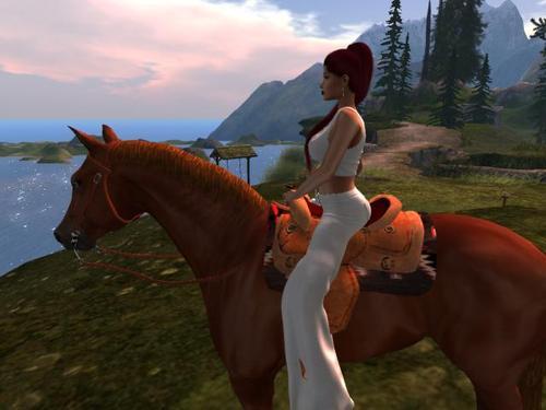 Web 5ff1a573629fd54da8f594f4