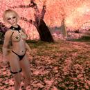 Thumb 59afc32c289dd23964000001