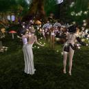 Thumb 5c8202f873ed175dbe000001