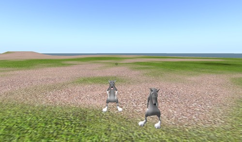 Web 53ca6aaba73e210db1000001