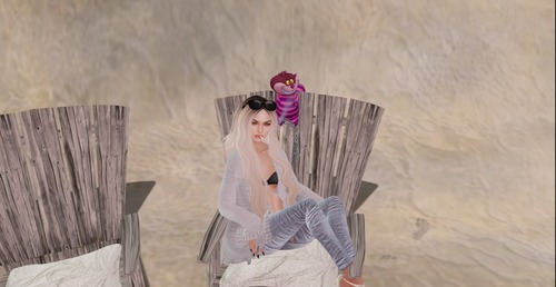 Web 55c904caa73e214c70000001