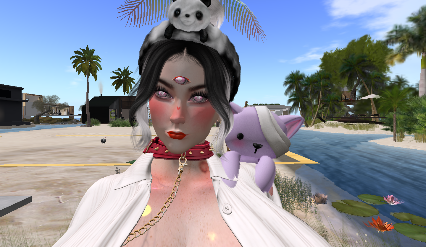 Original 64fab37ba4e9670e74ccac69