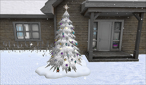 Web 638a00812b50706e893e04f8