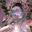 Thumb 625fbd500854a72a87c1bd52