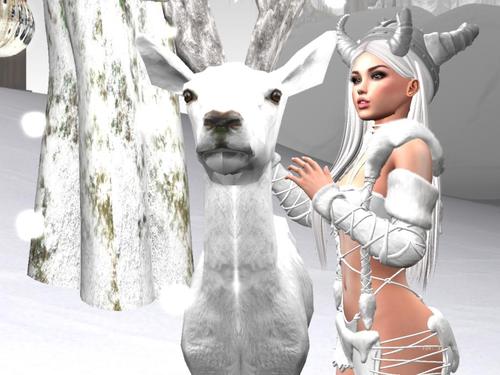 Web 5b22b813289dd255c0000001