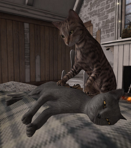 Web 6399d67315883b7041dad221