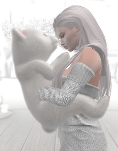 Web 63fb3db4ed05c4031e2d26bb