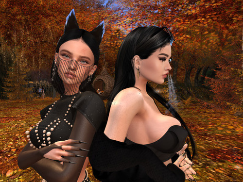 Web 6510a314a4e967283cccac69