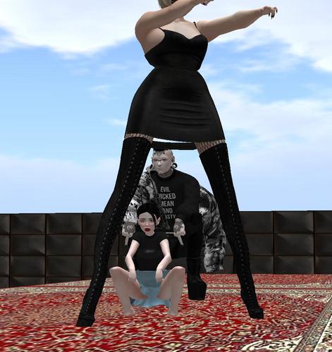 Web 5a076720d774f8577a000001