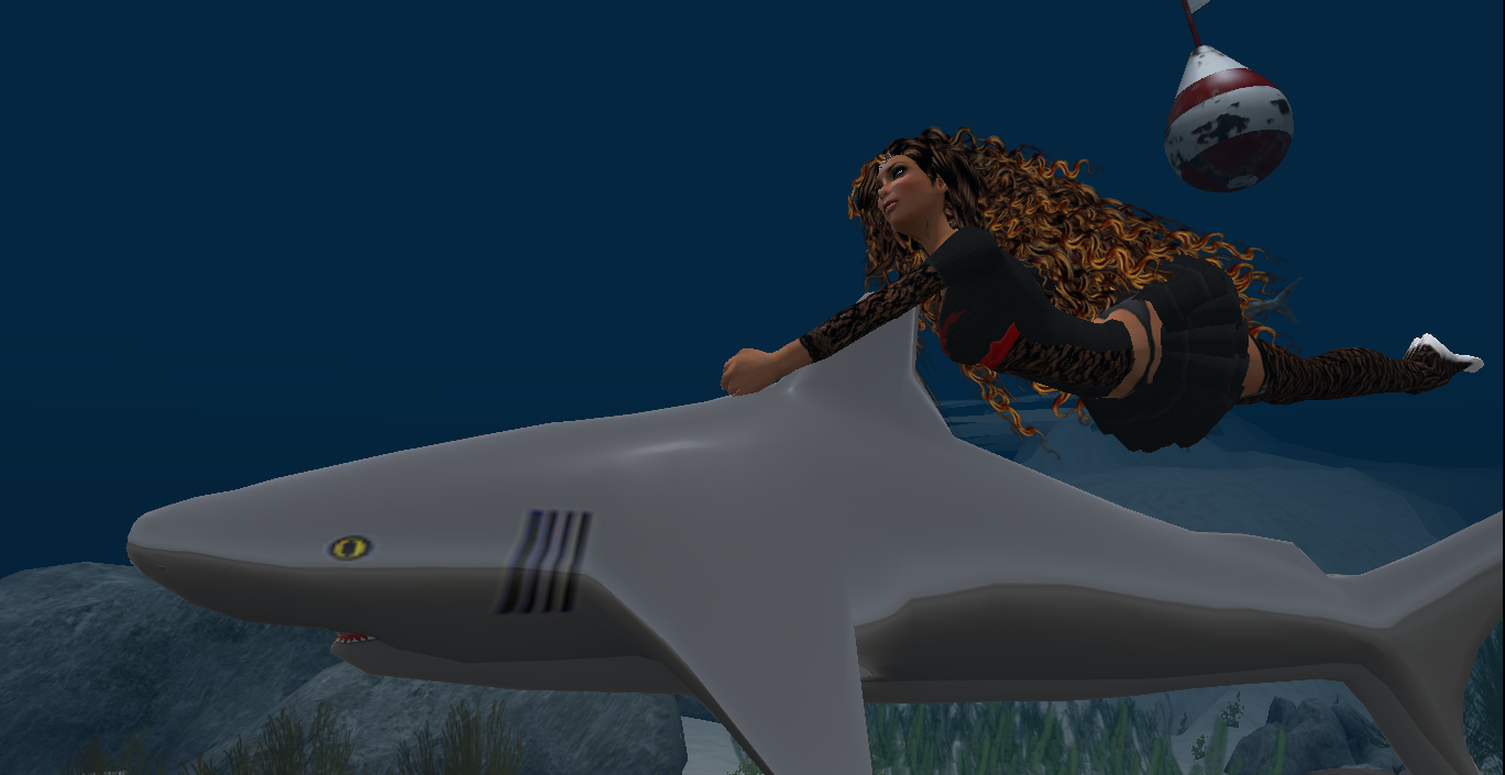 Original 535154e4f8a1ec2e4a000001