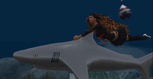 Web 535154e4f8a1ec2e4a000001