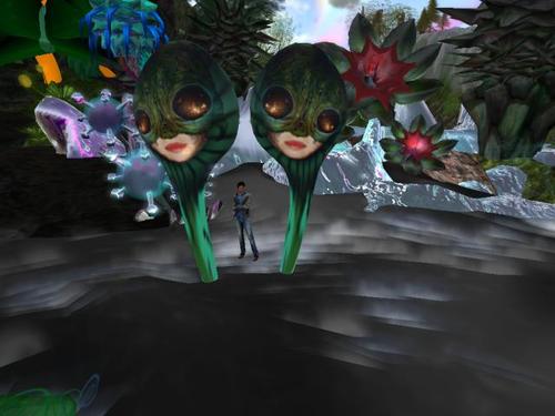 Web 5a03aca2289dd2024e000001