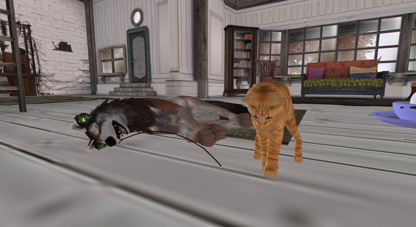 Original 56eab485b713f77210000001