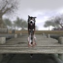 Thumb 562f73348da5725f01000001