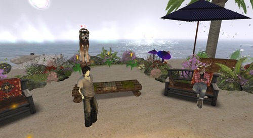 Web 5635a7cf3f942f420e000001