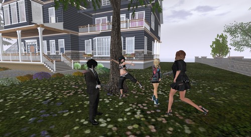 Web 56e327a09934e07972000001