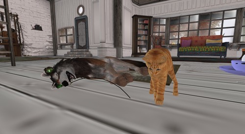 Web 56eab485b713f77210000001