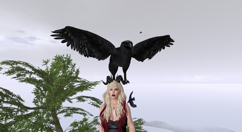 Web 5700833be85cda6c0e000001