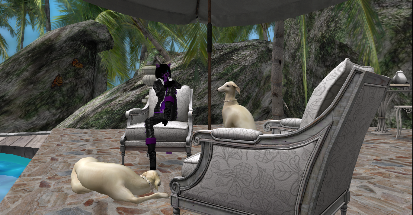 Original 5740c5c1b015400a62000001