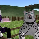 Thumb 556e10b0128cc9072e000001