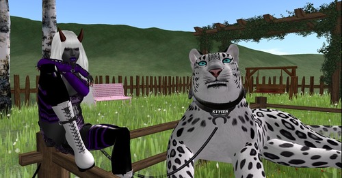 Web 556e10b0128cc9072e000001