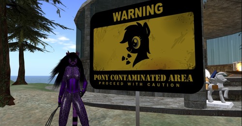 Web 557c8b8f8da57209d7000001