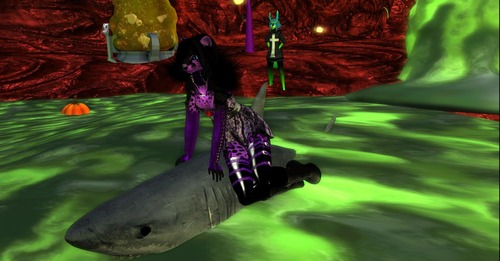 Web 56f98089b713f738a3000001