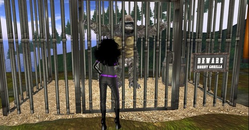 Web 56fa49fcf8a1ec2a9d000001