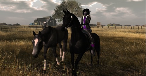 Web 571be34c9934e047fc000001