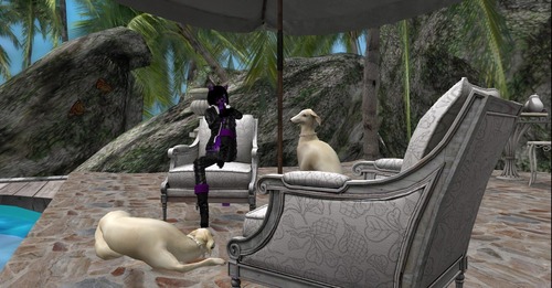 Web 5740c5c1b015400a62000001