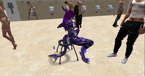 Web 5cccc25773ed171c54000001