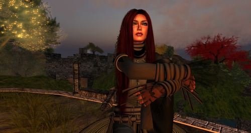 Web 53310995128cc9190c000001