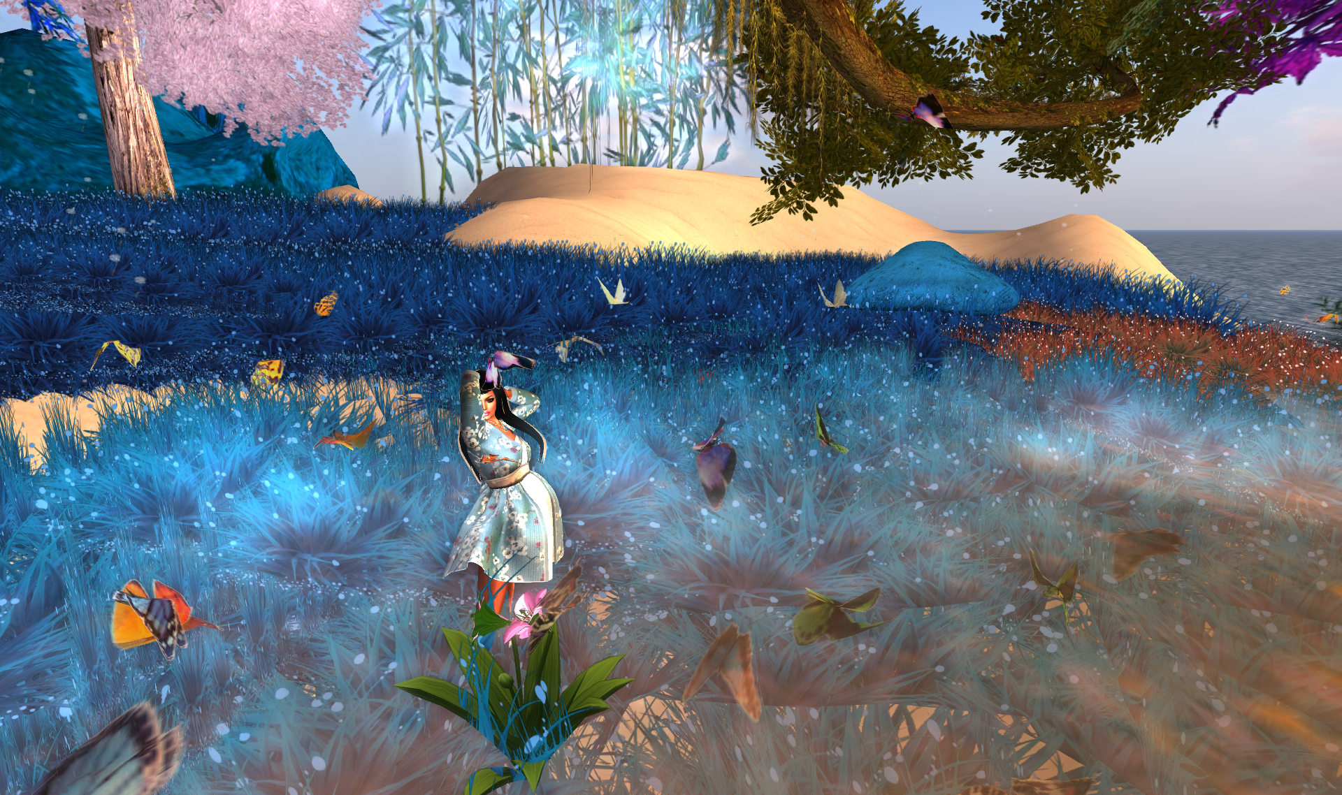 Original 5508a888f8a1ec3526000001