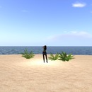 Thumb 54d458328da5722667000001