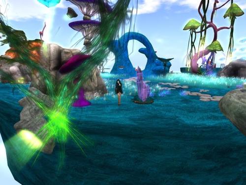 Web 5b20dff4d774f8018d000001