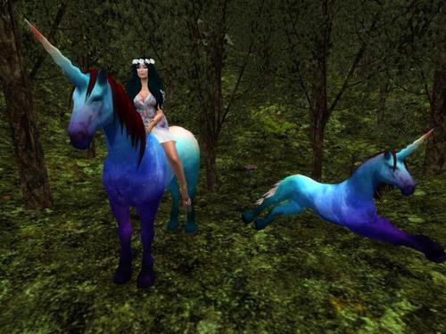 Web 5b289dc2289dd21ace000001